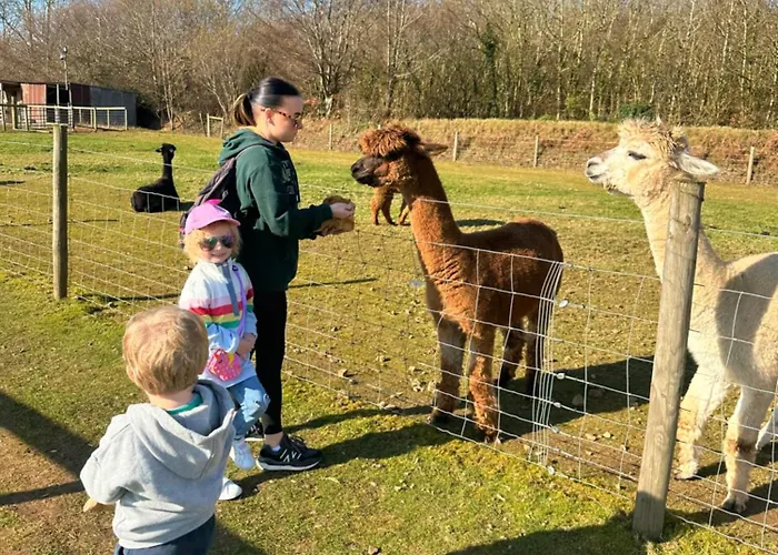 Glade Lodge- North Devon Coast, Bideford Bay Caravan Park